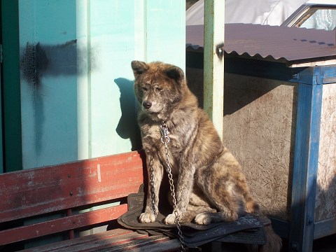 ��⃏�[�Q��(VW)���X K'S�}�X�^�[���L�E���i�̐���