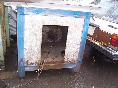 ��⃏�[�Q��(VW)���X K'S�}�X�^�[���L�E���₢���킹�A���K�g�E�S�U�C�}�X