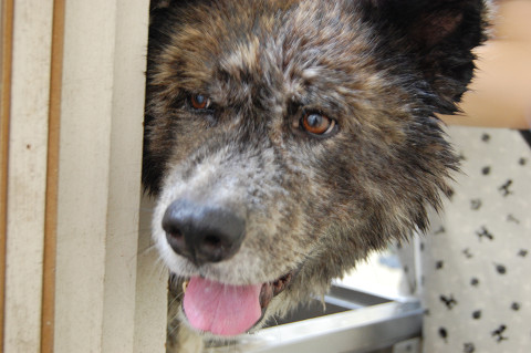 ��⃏�[�Q��(VW)���X K'S�}�X�^�[���L�E�Ў��Y�̉ċx��