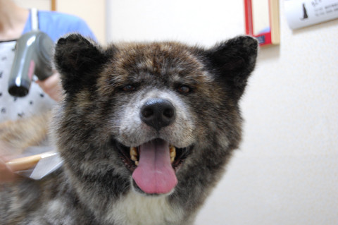 ��⃏�[�Q��(VW)���X K'S�}�X�^�[���L�E�Ў��Y�̉ċx��