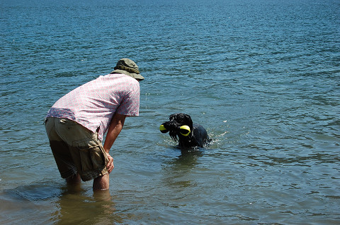 ��⃏�[�Q��(VW)���X K'S�}�X�^�[���L�E����߂̉ċx��