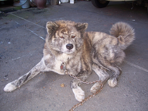 ��⃏�[�Q��(VW)���X K'S�}�X�^�[���L�E�Ҍ����ӁI�I