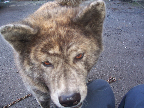 ��⃏�[�Q��(VW)���X K'S�}�X�^�[���L�E�Ҍ����ӁI�I