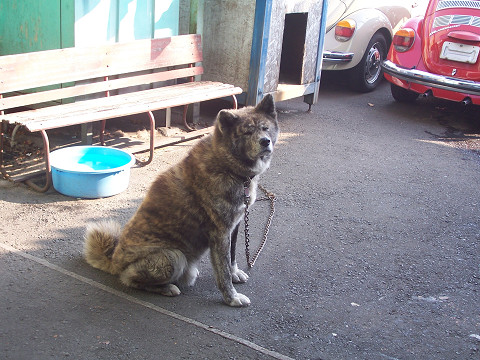 ��⃏�[�Q��(VW)���X K'S�}�X�^�[���L�E�����P�P���ɁE�E�E�E�E