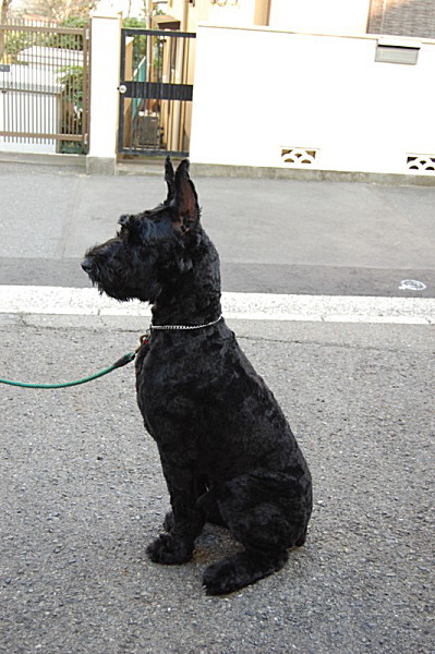 ��⃏�[�Q��(VW)���X K'S�}�X�^�[���L�E�W���C�A���g�V���i�E�U�[