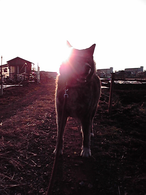 ��⃏�[�Q��(VW)���X K'S�}�X�^�[���L�E�\��t���R�[�i�[�E�C���h�D