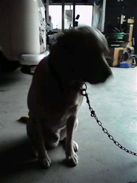 ��⃏�[�Q��(VW)���X K'S�}�X�^�[���L�E�t�͉����ł����H