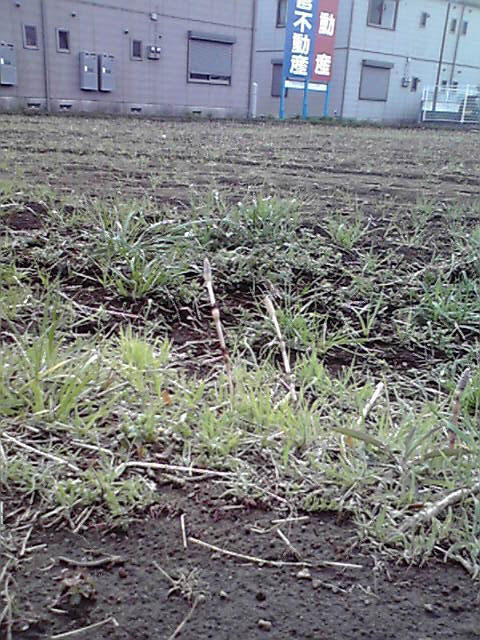 ��⃏�[�Q��(VW)���X K'S�}�X�^�[���L�E�y�M