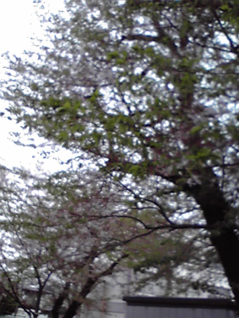 ��⃏�[�Q��(VW)���X K'S�}�X�^�[���L�E��