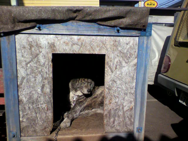 ��⃏�[�Q��(VW)���X K'S�}�X�^�[���L�E�Ў��Y�̓���