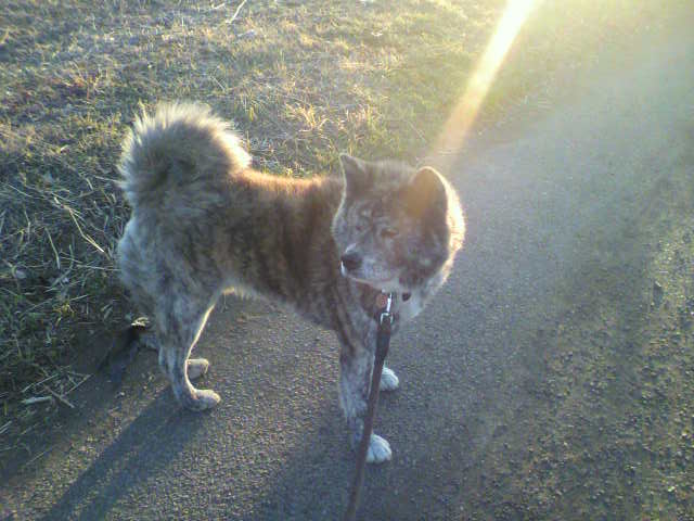 ��⃏�[�Q��(VW)���X K'S�}�X�^�[���L�E�Ў��Y�̓���