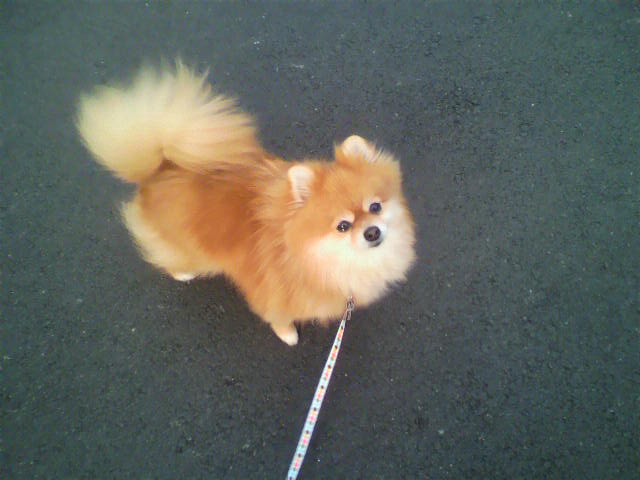 ��⃏�[�Q��(VW)���X K'S�}�X�^�[���L�E�䂪�Ƃ́E�E�E�E