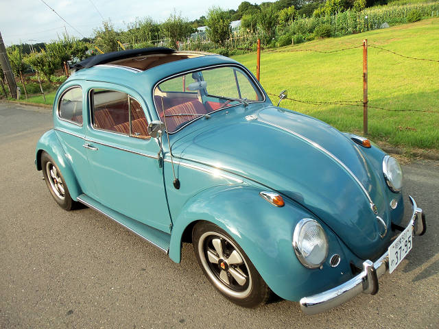 ��⃏�[�Q��(VW)���X K'S�}�X�^�[���L�E�e�`�s�H