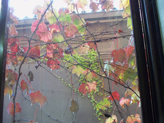 ��⃏�[�Q��(VW)���X K'S�}�X�^�[���L�E�����J����ƍg�t�E�E�E�E