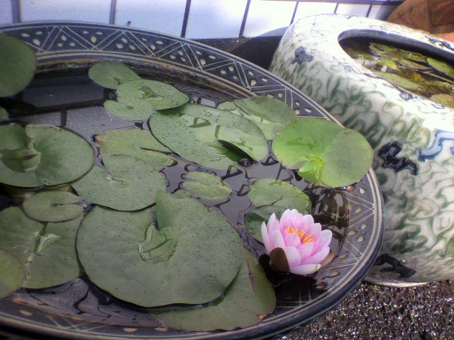 ��⃏�[�Q��(VW)���X K'S�}�X�^�[���L�E�䂪�Ƃ́E�E�E�E