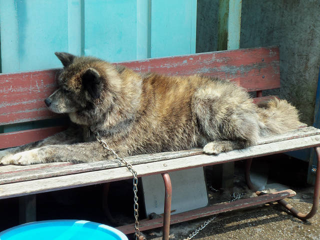 ��⃏�[�Q��(VW)���X K'S�}�X�^�[���L�E�Ђ̐���