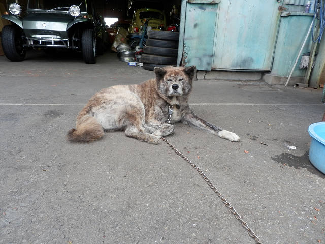 ��⃏�[�Q��(VW)���X K'S�}�X�^�[���L�E�Ў��Y