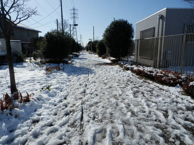 ��⃏�[�Q��(VW)���X K'S�}�X�^�[���L�E��