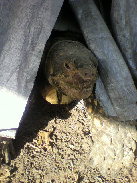 ��⃏�[�Q��(VW)���X K'S�}�X�^�[���L�E�����͊����炵���E�E�E