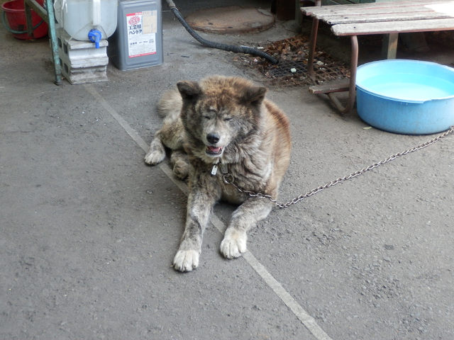 ��⃏�[�Q��(VW)���X K'S�}�X�^�[���L�E����