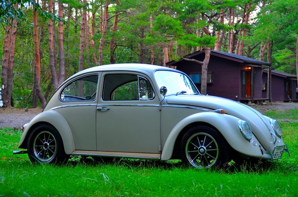 ��⃏�[�Q��(VW)���X K'S�}�X�^�[���L�E�]��