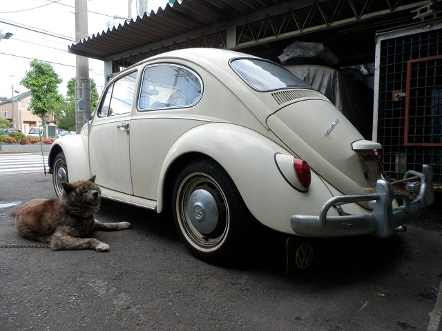 ��⃏�[�Q��(VW)���X K'S�}�X�^�[���L�E�U�V�f