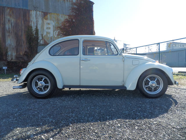 ��⃏�[�Q��(VW)���X K'S�}�X�^�[���L�E�V�Q�f�r�s�c