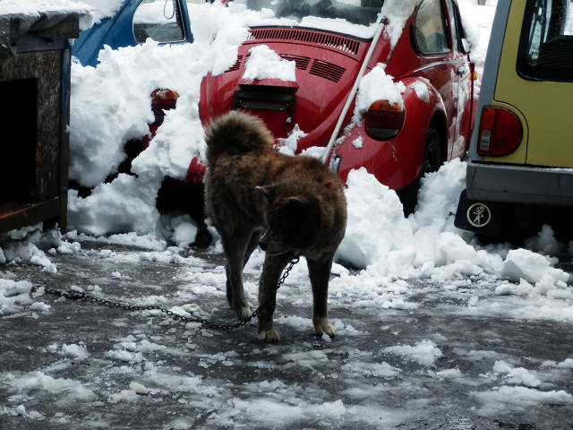 ��⃏�[�Q��(VW)���X K'S�}�X�^�[���L�E�Ⴉ���I��