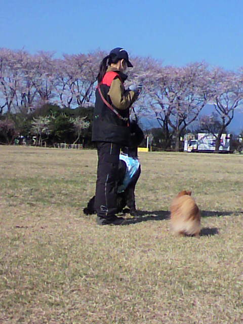 ��⃏�[�Q��(VW)���X K'S�}�X�^�[���L�E���J