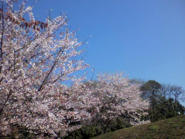 ��⃏�[�Q��(VW)���X K'S�}�X�^�[���L�E�T�N��