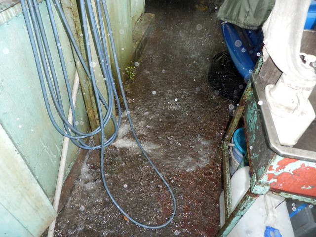 ��⃏�[�Q��(VW)���X K'S�}�X�^�[���L�E���J