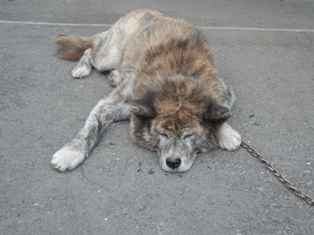 ��⃏�[�Q��(VW)���X K'S�}�X�^�[���L�E�V����