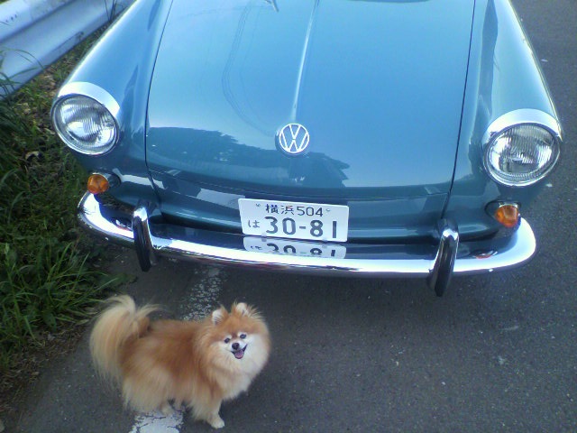 ��⃏�[�Q��(VW)���X K'S�}�X�^�[���L�E���̎U��