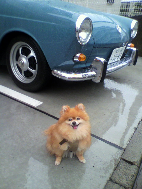 ��⃏�[�Q��(VW)���X K'S�}�X�^�[���L�E�J