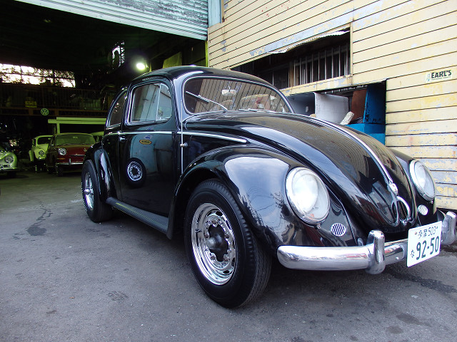 ��⃏�[�Q��(VW)���X K'S�}�X�^�[���L�ECal look�H