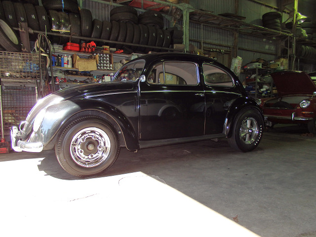 ��⃏�[�Q��(VW)���X K'S�}�X�^�[���L�ECal look�H