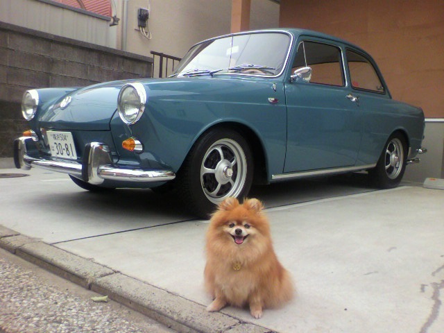 ��⃏�[�Q��(VW)���X K'S�}�X�^�[���L�E�ǂ����L��������܂���