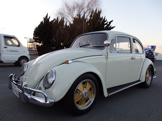 ��⃏�[�Q��(VW)���X K'S�}�X�^�[���L�EOwner's Report