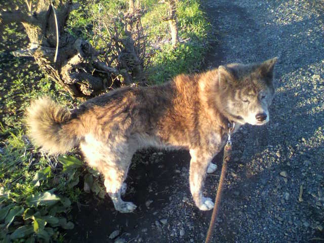 ��⃏�[�Q��(VW)���X K'S�}�X�^�[���L�E�Ў��Y