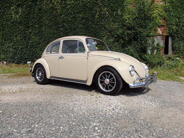 ��⃏�[�Q��(VW)���X K'S�}�X�^�[���L�E���i��