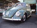���VW 1955�N�� TYPE-1 OVAL (���[�Q���r�[�g�� �^�C�v1)