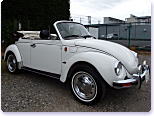 ���VW 1978�N�� TYPE-1 CONVERTIBLE (���[�Q���r�[�g�� �^�C�v1)